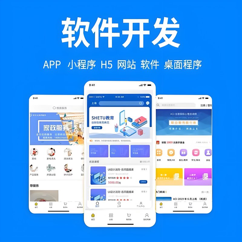 软件定制开发：企业科技发展的加速器